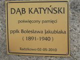Uroczystość posadzenia Drzewa Katyńskiego - Szkoła Podstawowa w Radzikowie, 
